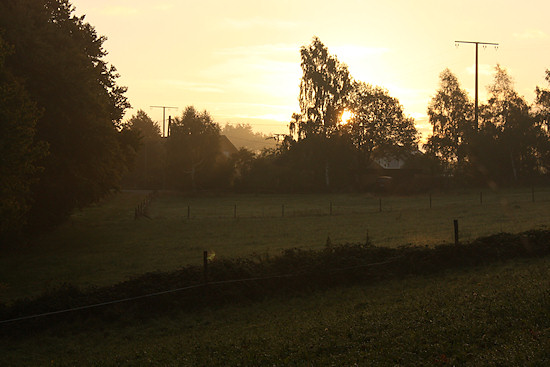 Foto Sierscheid Westrand Abendstimmung