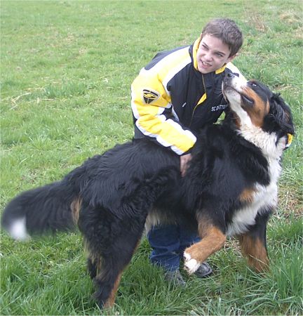 Foto: Domino l�sst sich von Jan knuddeln
