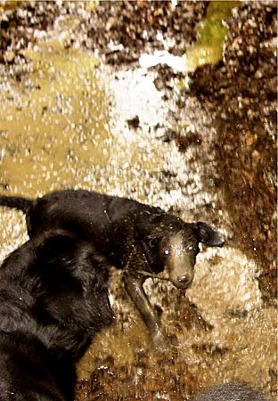 Foto: Anton im Matsch