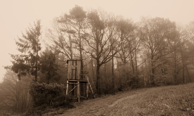 Tristesse