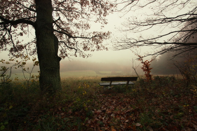 Warten