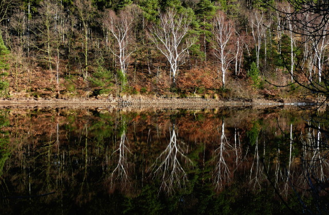 Spiegelwasser