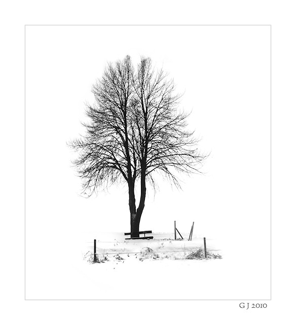 White Minimalism I