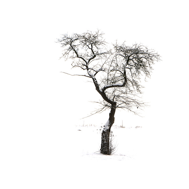 White Minimalism II