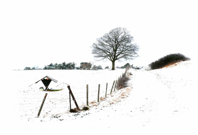 White Minimalism IV