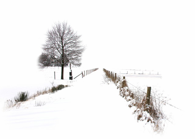 White Minimalism V