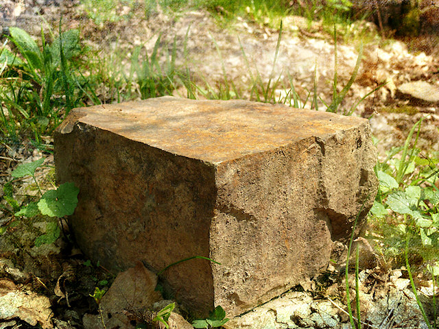 Feldstein