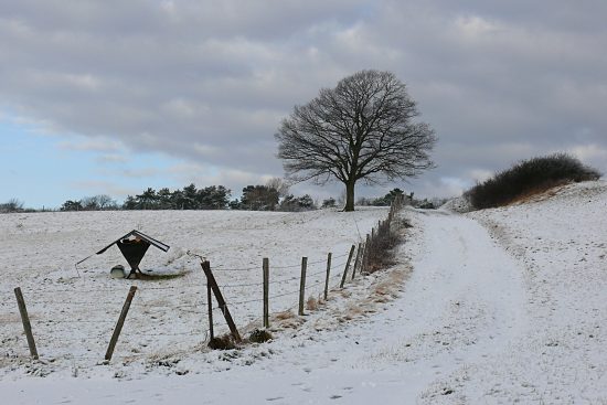 Schneebedeckter Feldweg, Euskirchen-Kirchheim, Naherholungsgebiet Steinbachtalsperre