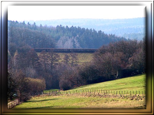 Foto Staumauer Steinbachtalsperre