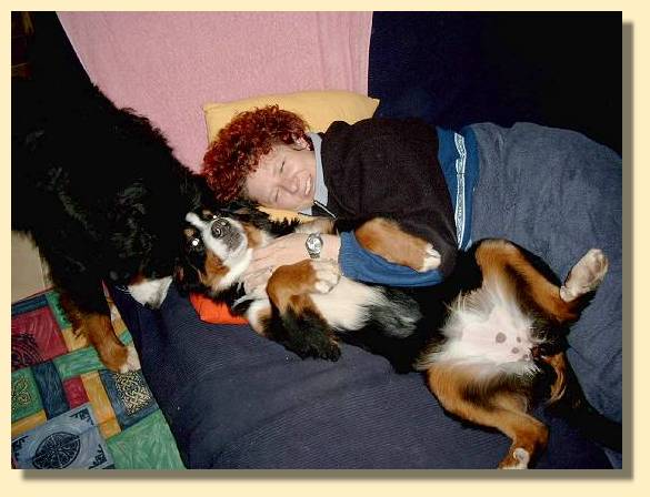 Aga und Ginja auf unserer Wohnzimmercouch