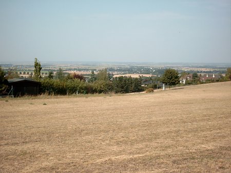 Foto: D�rre w�hrend des "Jahrhundertsommers" 2003