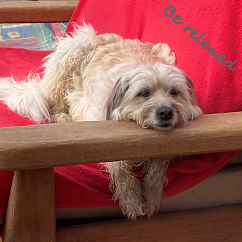 Be relaxed: Lulu ganz entspannt