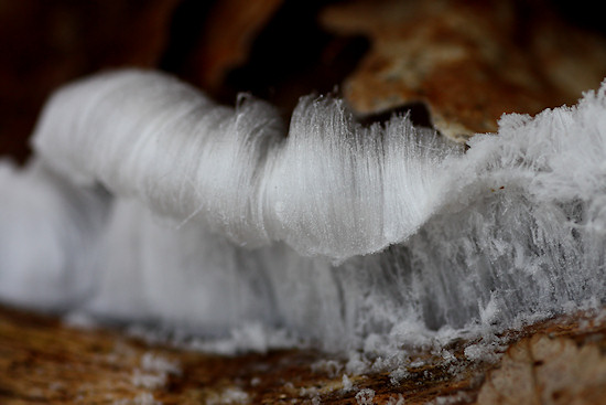 Haar-Eis