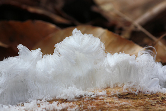 Haar-Eis