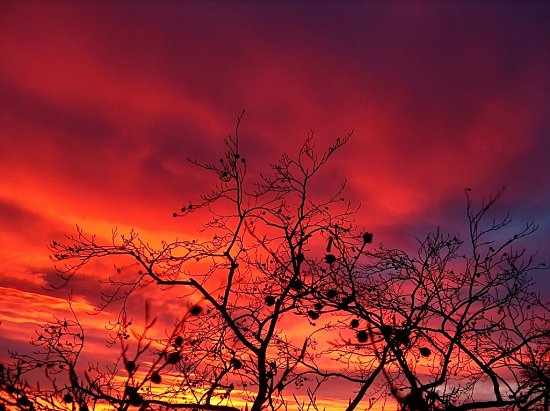 Letzter Lichtschein �ber Kirchheim