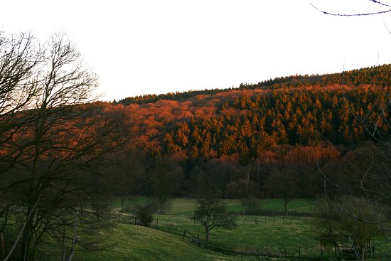 Abendstimmung unterhalb der Stainbachtalsperre