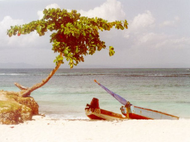 Blick auf den Strand (Cayo Levantado)