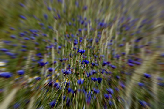 Zoom In
