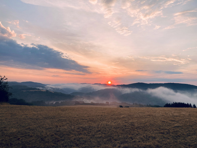 Sonnenaufgang auf der Sierscheider Dümpelhardt Juli 2026