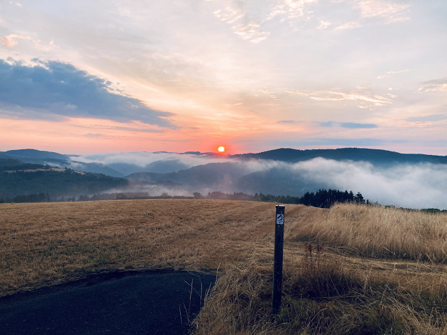 Sonnenaufgang auf der Sierscheider Dümpelhardt Juli 2026