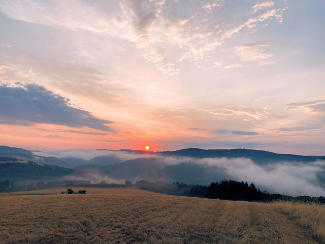 Sonnenaufgang auf der Sierscheider Dümpelhardt Juli 2026