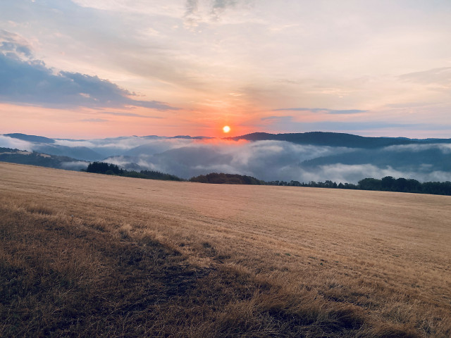 Sonnenaufgang auf der Sierscheider Dümpelhardt Juli 2026