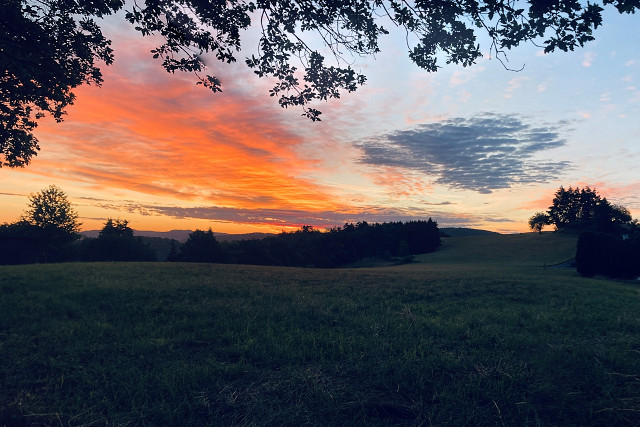Sonnenaufgang auf der Sierscheider Dümpelhardt August 2026