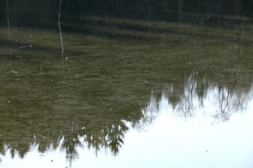 Steinbachtalsperre, Euskirchen-Kirchheim, Naherholungsgebiet, Eisspiegel