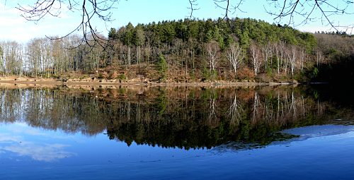Steinbachtalsperre, Euskirchen-Kirchheim, Naherholungsgebiet, Eisspiegel